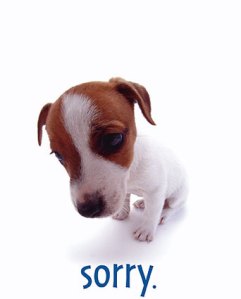 puppy_im_sorry