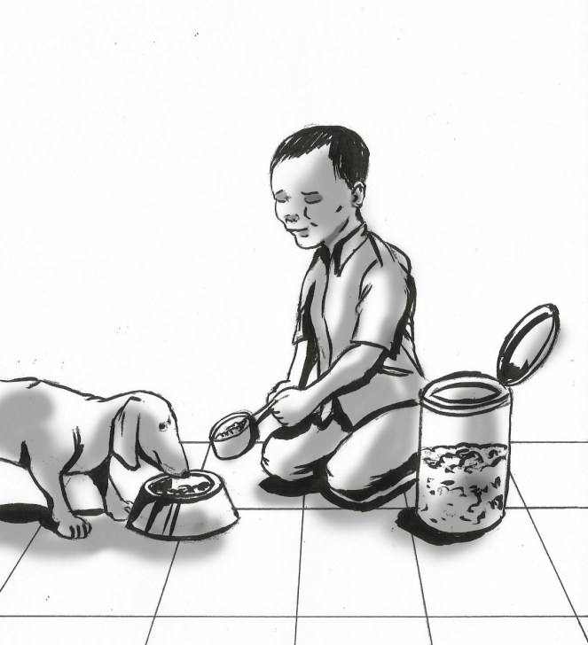 Dog_redking_25.06.15