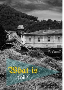 With Toil Word to the Wise: Toil – English with a Smile