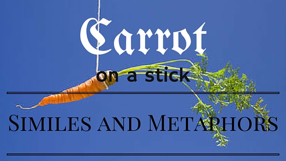 Carrot (1)
