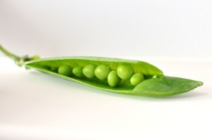 legume